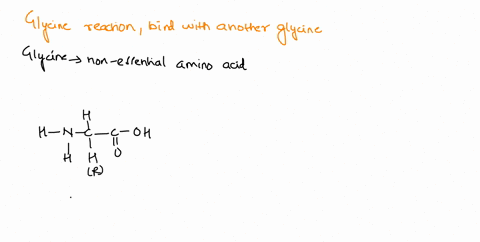 using-2-diagrams-explain-how-2-glycine-amino-acid-where-r-group-has-a-single-hydrogen-atom-would-react-to-produce-a-dipeptide-bond-name-and-label-first-diagram-should-represent-the-amino-aci-93828