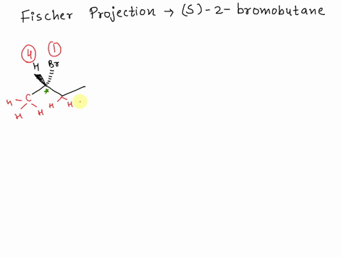 draw-the-fischer-projection-of-s-2-bromobutane-68488