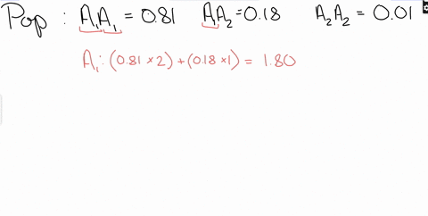 random-genetic-drift-suppose-that-the-assumptions-of-hardy-weinberg-equillbrium-hold-true-and-that-the-frequencies-of-the-three-possible-genotypes-are-081-aa-018-aaz-and-001-aal-individuals-44016