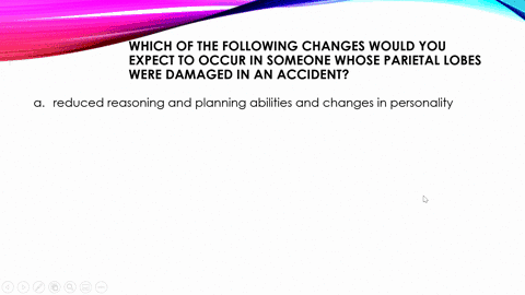 which-of-the-following-changes-would-you-expect-to-cccur-in-someone-whose-parietal-lobes-were-damaged-in-an-accident-reduced-reasoning-and-planning-abilities-and-changes-in-personality-reduc-34207