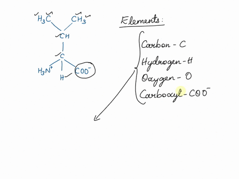 identify-which-macromolecule-group-this-molecule-belongs-to-hc-cha-c4-hm-coo-a-carbohydrates-lipids-proteins-nucleic-acids-73614