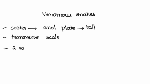 most-of-the-venomous-snakes-have-a-laterally-compressed-tail-b-narrow-belly-scales-c-smaller-uniform-belly-scales-d-wide-transeverse-scales-as-broad-as-belly-73884