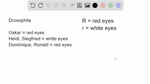 as-a-reward-for-being-a-good-student-i-give-you-a-drosophila-named-oskar-oskar-has-red-eyes-the-same-color-that-normal-flies-do-you-add-oskar-to-your-fly-collection-which-also-contains-heidi-30375