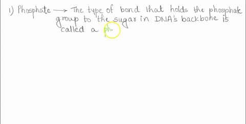 what-types-of-intermolecular-interactions-does-each-of-the-following-components-of-dna-possess-a-phosphate-b-sugar-c-nucleobase-70449