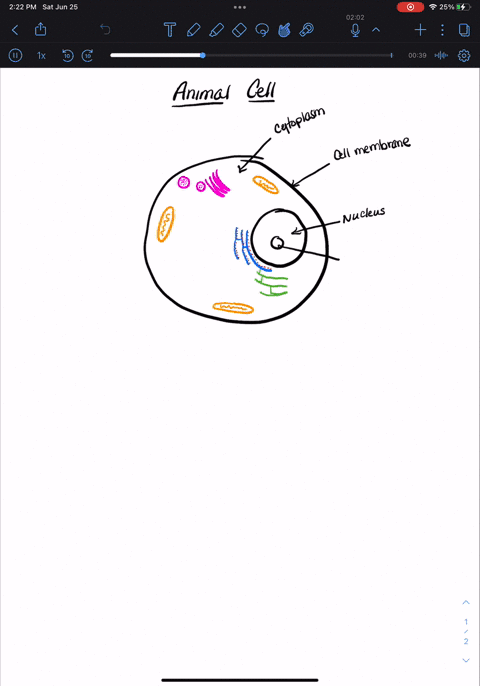 label-the-following-diagrams-to-show-the-type-of-cell-and-the-name-of-each-organelle-type-of-cell-type-of-cell-38686