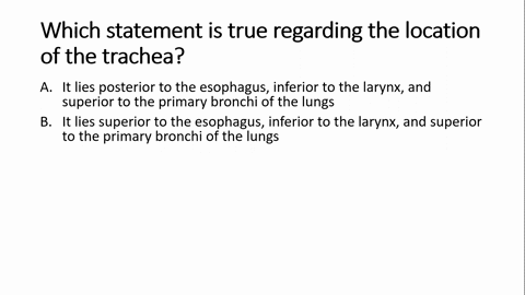 which-statement-is-true-regarding-the-location-of-the-trachea-select-one-a-it-lies-posterior-to-the-esophagus-inferior-to-the-larynx-and-superior-to-the-primary-bronchi-of-the-lungs-b-it-lie-50312