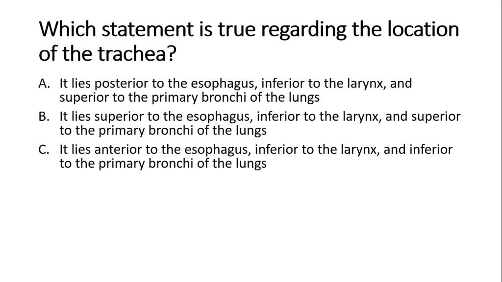 which statement is true regarding the location of the trachea