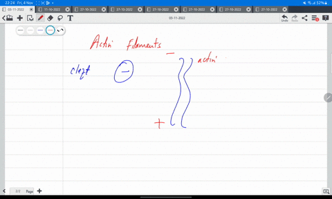 actin-filaments-have-a-defined-polarity-what-is-filament-polarity-how-is-it-generated-at-the-subunit-73918