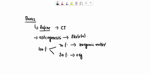 which-of-the-following-structures-of-compact-bone-contains-all-of-the-others-lacunac-ostcon-ostcocvtc-haversian-canals-canaliculi-55502