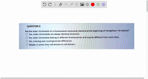 question-2-are-the-sister-chromatids-of-chromosome-necessarily-identical-at-the-beginning-of-metaphase-of-meiosis-yes-sister-chromatids-are-always-identical-structures_-no-sister-chromatids-27806