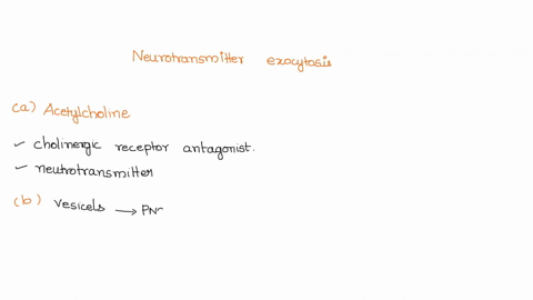 neurotransmitter-exocytosis-and-reuptake-what-type-of-organic-molecule-is-acetylcholine-neurotransmitter-where-is-acetylcholine-made-in-the-cell-and-how-does-it-end-up-in-the-axon-terminal-w-08089