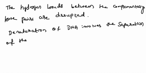 select-all-that-apply-when-dna-is-denatured-it-undergoes-a-permanent-morphological-change-similar-to-that-of-protein-upon-cooking-stacked-bases-become-unstacked-the-amount-of-light-it-absorb-28004