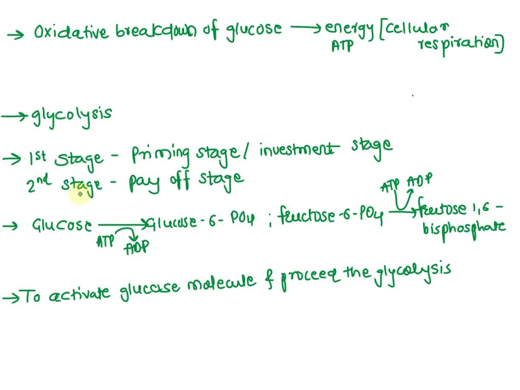 SOLVED How does glucose act as a fuel? What is the process of glucose breakdown and oxidation
