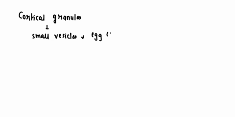 which-of-the-following-essentia-for-preventing-polyspermy-fertilisation-of-an-ezg-by-multiple-sperm-acrosomal-granules-bindin-cortica-granules-acrosoma-process-33413