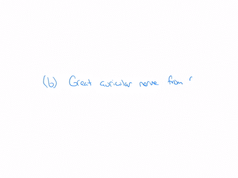 which-of-the-followings-is-true-regarding-nerve-supply-to-the-auricle-of-the-ear-a-lesser-occipital-nerve-from-c2-supply-the-upper-23-of-the-lateral-surface-of-auricle-b-great-auricular-nerve-from-c2c