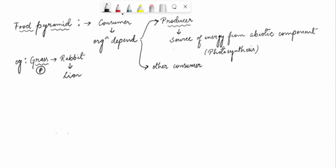 which-organisms-in-the-food-pyramid-below-function-as-primary-consumers-a-bass-b-minnows-d-copepods-72093