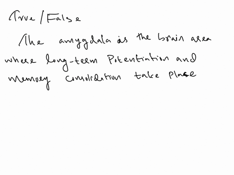 the-amygdala-is-the-brain-area-where-long-term-potentiation-and-memory-consolidation-take-place-true-28476