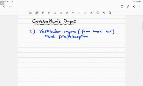 the-cerebellum-functionally-receives-information-from-three-other-anatomical-areas-which-of-the-following-correctly-matches-that-anatomical-area-with-the-type-of-information-received-by-the-54966
