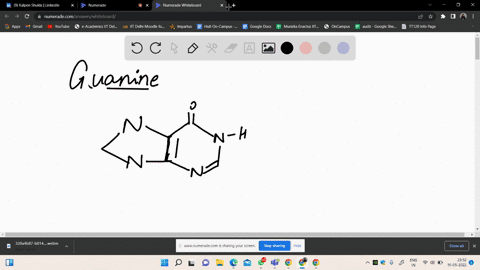 write-a-resonance-form-for-guanine-in-which-the-six-membered-ring-has-an-electronic-structure-analog-67925