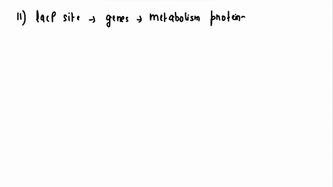 question-11-1-point-the-lacp-site-within-the-lac-operon-is-upstream-of-the-genes-that-encode-for-lactose-uptake-and-metabolism-proteins-the-iacp-site-is-the-lac-promoter-site-where-rna-polym-45114