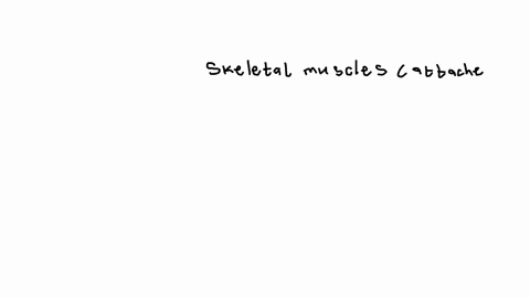this-type-of-muscle-tissue-muscle-cell-has-multiple-nuclei-group-of-answer-choices-smooth