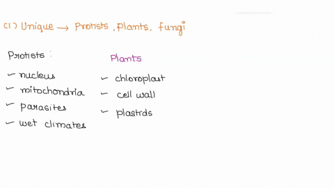 1-what-is-unique-to-only-protists-unique-to-only-plants-unique-to-only-fungi-2-what-do-plants-and-protists-have-in-common-plants-and-fungi-have-in-common-protists-and-fungi-have-in-common-3-40363