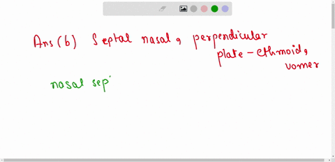 the-nasal-septum-is-composed-of-bone-and-hyaline-cartilage-which-specific-cartilage-and-bones-compose-the-septum-a-septal-nasal-perpendicular-plate-of-ethmoid-palatine-b-septal-nasal-perpend-09388