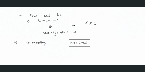 should-a-cow-and-a-bull-that-both-carry-recessive-alleles-for-a-mutation-that-causes-decreased-milk-production-be-bred-wjy-or-why-not-76889