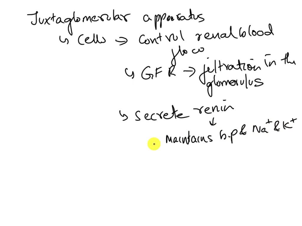 SOLVED The juxtaglomerular apparatus regulates the filtration rate by