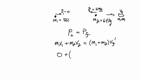 skater-with-mass-m-55-kg-enters-an-ice-skating-rink-moving-very-slowly-vi-ms-another-skater-with-mass-mz-64-kg-notices-this-too-late-and-slows-down-but-cannot-avoid-the-collision-and-is-stil-17208