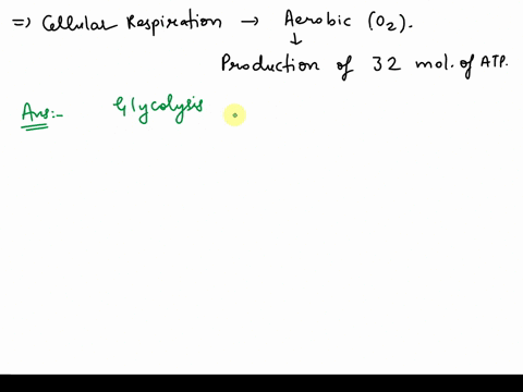 question-9-1-point-put-the-following-the-formation-32-steles-of-respiration-in-the-proper-molecules-of-atp-order-starting-with-glucose-and-ending-with-oxidation-of-pyruvate-phosphorylation-o-30394