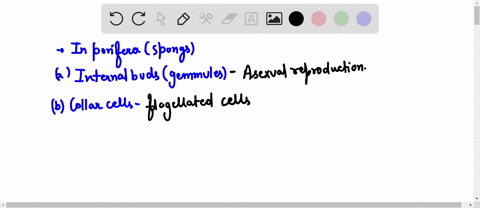 which-features-of-a-sponge-are-mismatched-a-budsasexual-reproduction-b-collar-cellsflagellated-c-osc-16003