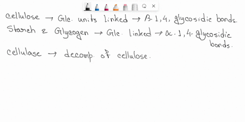 cellulose-starch-and-glycogen-are-all-polymers-of-glucose-which-of-the-following-are-true-in-cellulose-and-starch-glucoses-are-connected-with-beta-14-linkages-while-glycogen-uses-a-true-alph-84363