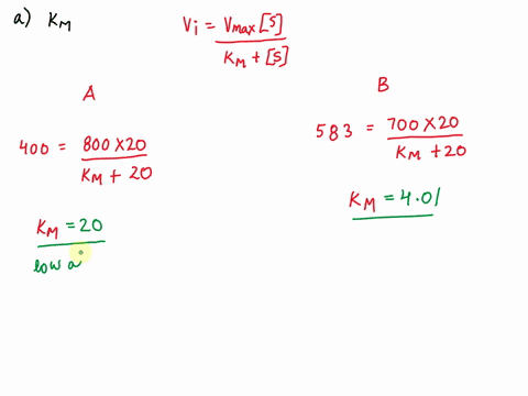 you-obtain-the-following-set-of-data-for-two-enzymes-that-follow-michaelis-menten-kinetics-enzyme-a-enzyme-b-substrate-initial-velocity-initial-velocity-concentration-lm-uwmin-umlmin-38-140-33295