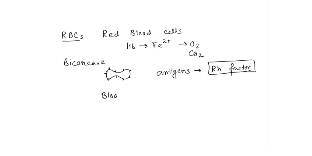 solved-on-the-surface-of-red-blood-cells-are-identification-molecules