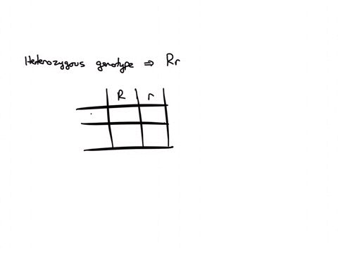 if-two-heterozygous-genotypes-crossed-the-resulting-offspring-genotype-ratio-is-21-or-0-homozygous-dominant-0-1-or-2-heterozygous-2-0-or-1-homozygous-recessive