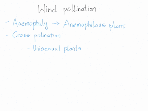 why-are-pollen-grains-produced-in-large-quantities-in-wind-pollinated-flowers-52906