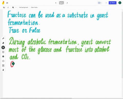 fructose-can-be-used-as-a-substrate-in-yeast-iermentation-true-or-false-true-false-22284