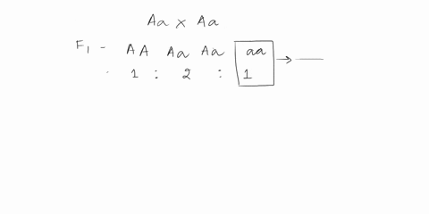 which-of-the-following-statements-about-the-offspring-of-3-cross-between-two-carriers-of-a-lethal-recessive-gene-are-true-please-select-all-that-apply-offspring-genotypes-follow-21ratio-the-26904