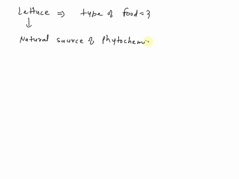 what-type-of-food-molecules-make-up-lettuce-38888