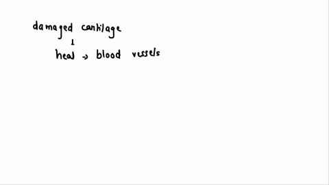 explain-why-damaged-cartilage-takes-a-long-time-to-heal-what-are-theadvantages-of-articular-cartilage-having-no-perichondrium-blood-vesselsor-nerves-48296