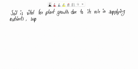 3-ways-soil-is-important-for-plant-growth-22296