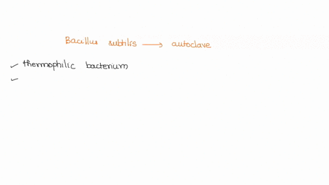 bacillus-subtilis-is-a-mesophile-but-it-is-used-to-determine-the-effectiveness-of-an-autoclave-explain-why-this-is-so-55671