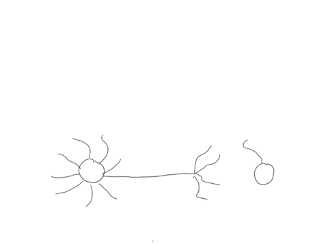 the-synapse-is-the-fluid-filled-gap-between-the-terminal-buttons-of-one-neuron-and-the-dendrites-of-another-neuron-true-or-false