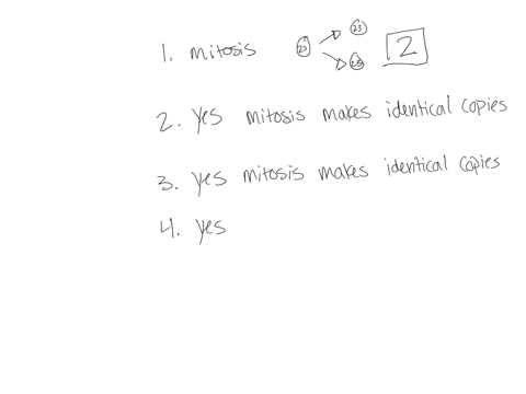 when-cell-undergoes-daughter-cells-are-produced-mitotic-division-how-many-daughter-cells-have-the-aanm-number-chromosomes-daughter-cells-have-the-same-number-chromosomes-as-the-mother-cell-f-33771