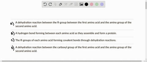 amino-acids-are-joined-to-form-proteins-through-peptide-bonds-the-process-involves-a-dehydration-reaction-between-the-r-group-between-the-first-amino-acid-and-the-amino-group-of-the-second-a-16068