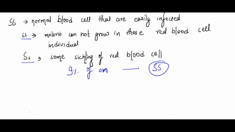 problem-2-sickle-cell-anemia-is-an-interesting-genetic-disease-normal-homozygous-individials-ss-have-normal-blood-cells-that-are-easily-infected-with-the-malarial-parasite-thus-many-of-these-78996