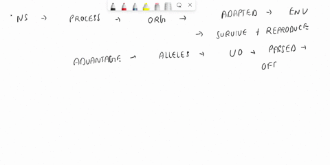 how-does-natural-selection-lead-to-evolution-apex-53818