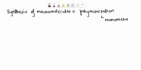 how-do-cells-synthesize-and-breakdown-macromolecules-37168