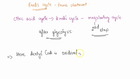 which-of-the-following-islare-true-of-the-citric-acid-cycle-select-all-that-apply-marks-will-be-removed-for-incorrect-selections-select-one-or-more-atp-is-both-hydrolyzed-and-generated-in-th-00685